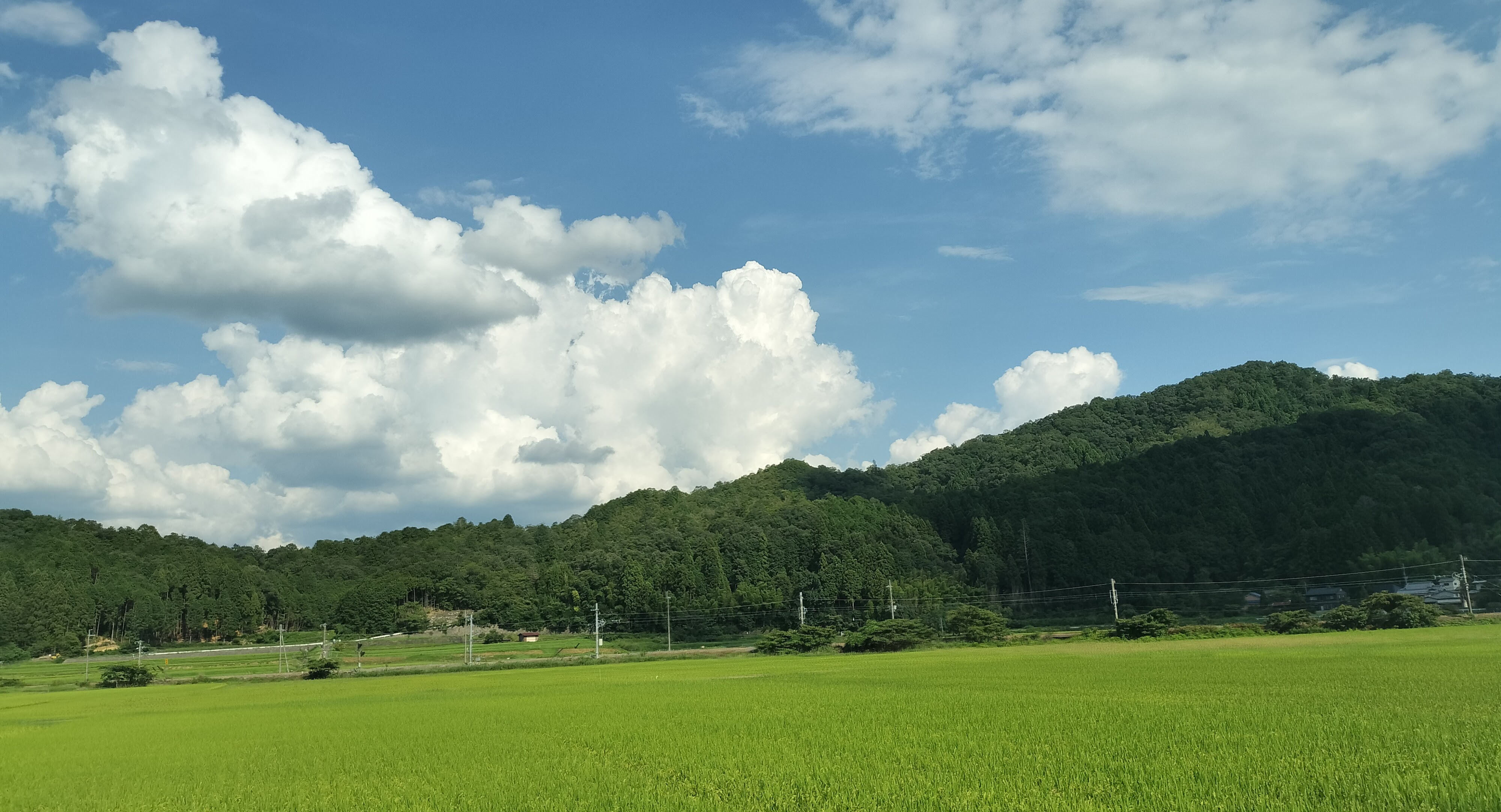 スプリングスひよし付近の風景