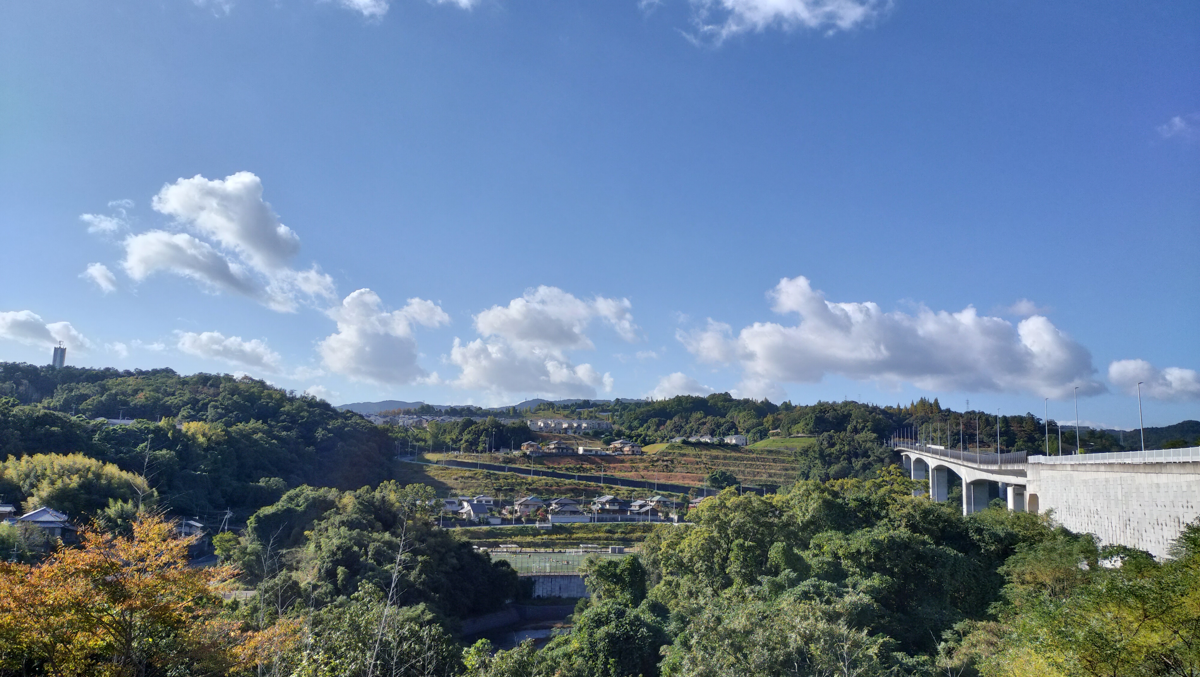 ダムパークまでの道