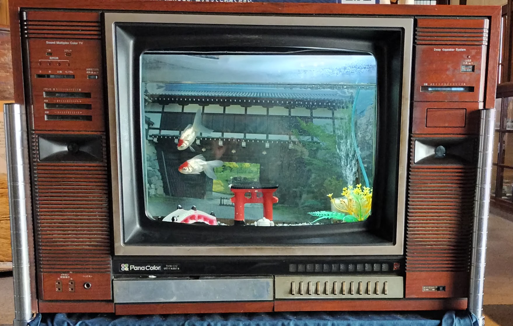 テレビの中
