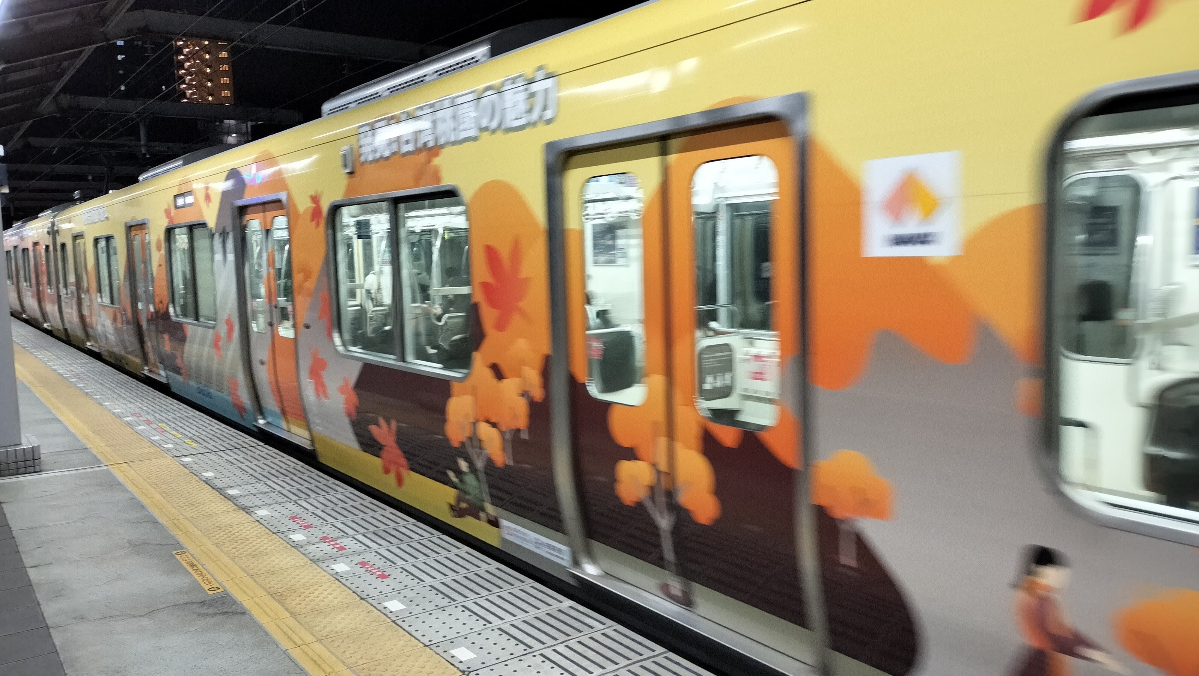 カラフルな南海電車